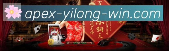 一龙棋牌荣誉